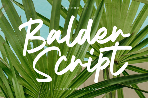 Balder Script: The Handwritten Font for Modern Design