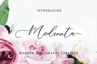 Modennta Script: Finding the Balance Between Flair and Function