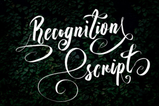 Recognition Script: A Font That Adds Instant Elegance
